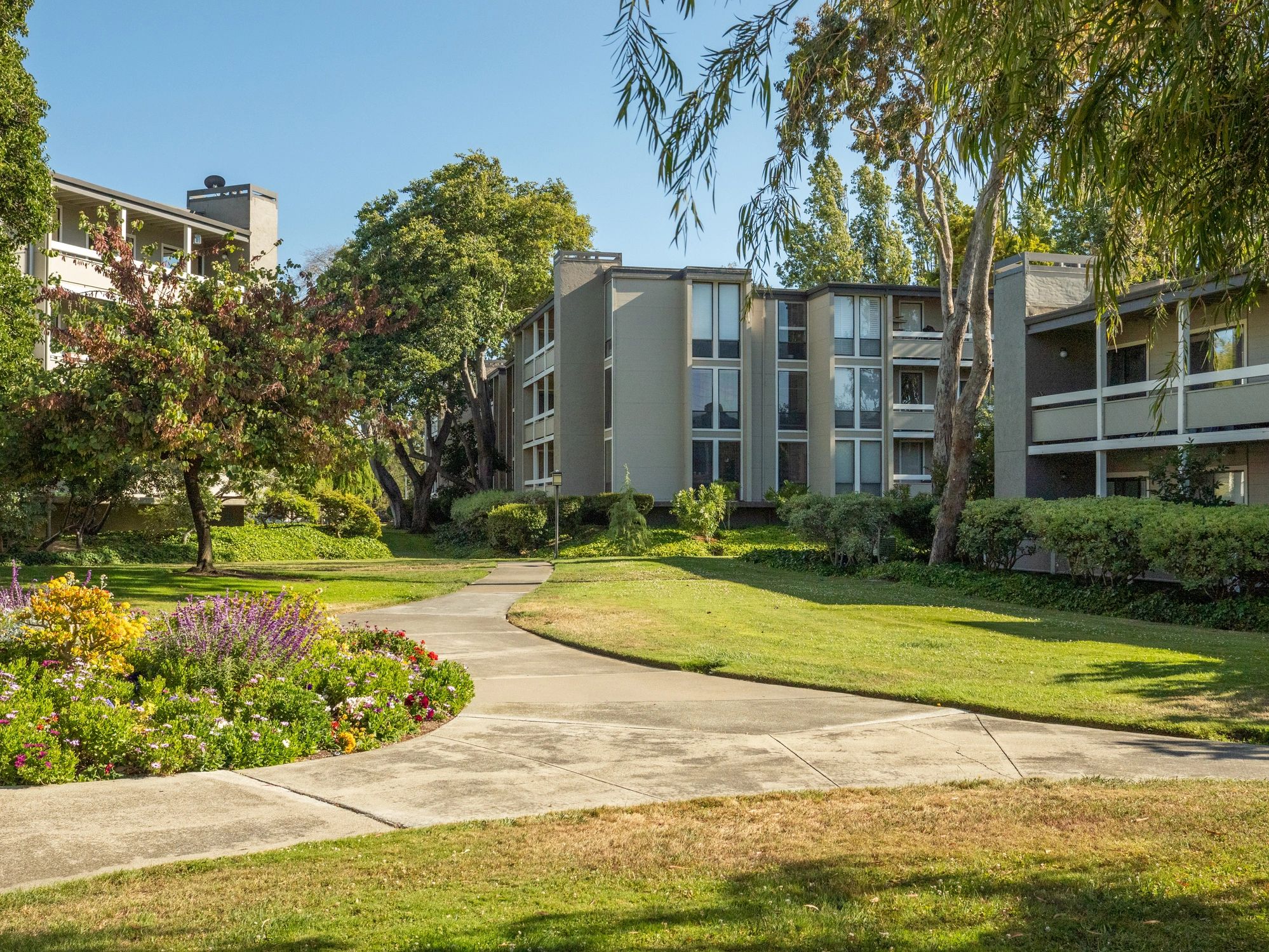 Landscaped green grounds around modern residential buildings